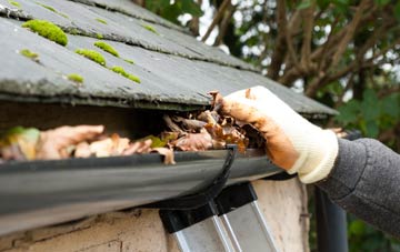 gutter cleaning Stainton Le Vale, Lincolnshire