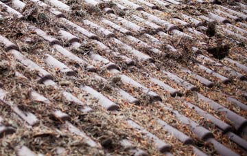 Stainton Le Vale roof cleaning companies